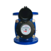 Cast Iron Flange Detachable Water Meter