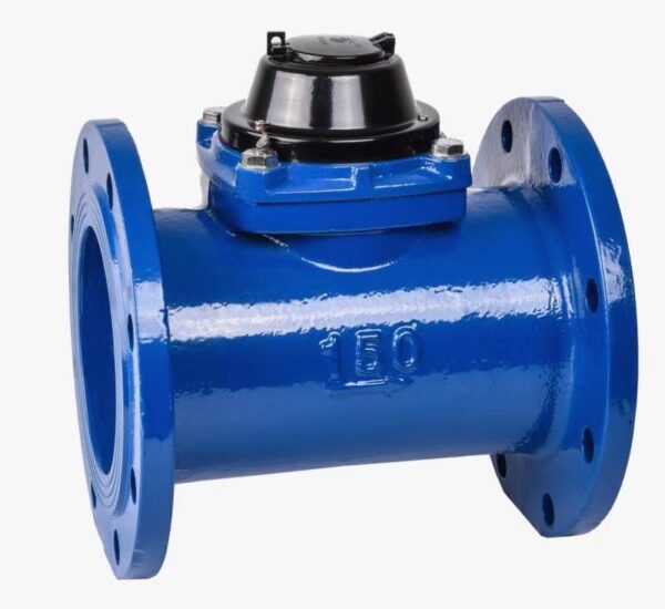 Cast Iron Flange Detachable Water Meter