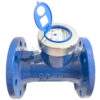 Large Diameter Rotary Vane Wheel Dry-Dial Multi-flow Water Meter