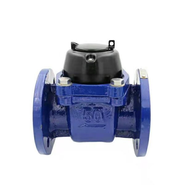 Cast Iron Flange Detachable Water Meter