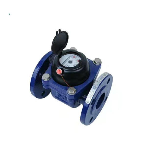 Cast Iron Flange Detachable Water Meter