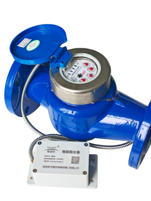 Remote Transmission Water Meter(External Module Type)